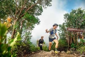 BIB: 
                            <button type="button" onclick="openModal(24890280)" class="btn btn-primary btn-sm float-right btn-popup" data-toggle="modal" data-target=".modal-high-quality">
                        <i class="fas fa-shopping-cart"></i> Add to Cart
                    </button>
                                            <button type="button" onclick="isThisMe(24890280, true)" class="btn btn-success btn-sm float-right btn-popup btn-isme hidden" data-toggle="tooltip" data-placement="bottom" title="นี่คือรูปของคุณใช่ไหม คลิกที่นี่เพื่อเอาเข้าอัลบั้ม">
                        <i class="fas fa-plus"></i> Add to album
                    </button>
                    <button type="button" onclick="isThisMe(24890280, false)" class="btn btn-warning btn-sm float-right btn-popup btn-isnotme hidden">
                        <i class="fas fa-ban"></i> Remove from album
                    </button>