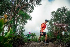 BIB: 
                            <button type="button" onclick="openModal(24890645)" class="btn btn-primary btn-sm float-right btn-popup" data-toggle="modal" data-target=".modal-high-quality">
                        <i class="fas fa-shopping-cart"></i> Add to Cart
                    </button>
                                            <button type="button" onclick="isThisMe(24890645, true)" class="btn btn-success btn-sm float-right btn-popup btn-isme hidden" data-toggle="tooltip" data-placement="bottom" title="นี่คือรูปของคุณใช่ไหม คลิกที่นี่เพื่อเอาเข้าอัลบั้ม">
                        <i class="fas fa-plus"></i> Add to album
                    </button>
                    <button type="button" onclick="isThisMe(24890645, false)" class="btn btn-warning btn-sm float-right btn-popup btn-isnotme hidden">
                        <i class="fas fa-ban"></i> Remove from album
                    </button>