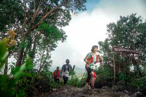 BIB: 
                            <button type="button" onclick="openModal(24890480)" class="btn btn-primary btn-sm float-right btn-popup" data-toggle="modal" data-target=".modal-high-quality">
                        <i class="fas fa-shopping-cart"></i> Add to Cart
                    </button>
                                            <button type="button" onclick="isThisMe(24890480, true)" class="btn btn-success btn-sm float-right btn-popup btn-isme hidden" data-toggle="tooltip" data-placement="bottom" title="นี่คือรูปของคุณใช่ไหม คลิกที่นี่เพื่อเอาเข้าอัลบั้ม">
                        <i class="fas fa-plus"></i> Add to album
                    </button>
                    <button type="button" onclick="isThisMe(24890480, false)" class="btn btn-warning btn-sm float-right btn-popup btn-isnotme hidden">
                        <i class="fas fa-ban"></i> Remove from album
                    </button>