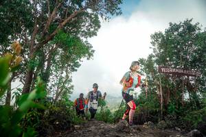 BIB: 
                            <button type="button" onclick="openModal(24890481)" class="btn btn-primary btn-sm float-right btn-popup" data-toggle="modal" data-target=".modal-high-quality">
                        <i class="fas fa-shopping-cart"></i> Add to Cart
                    </button>
                                            <button type="button" onclick="isThisMe(24890481, true)" class="btn btn-success btn-sm float-right btn-popup btn-isme hidden" data-toggle="tooltip" data-placement="bottom" title="นี่คือรูปของคุณใช่ไหม คลิกที่นี่เพื่อเอาเข้าอัลบั้ม">
                        <i class="fas fa-plus"></i> Add to album
                    </button>
                    <button type="button" onclick="isThisMe(24890481, false)" class="btn btn-warning btn-sm float-right btn-popup btn-isnotme hidden">
                        <i class="fas fa-ban"></i> Remove from album
                    </button>