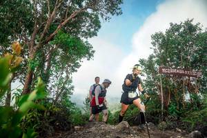 BIB: 
                            <button type="button" onclick="openModal(24890374)" class="btn btn-primary btn-sm float-right btn-popup" data-toggle="modal" data-target=".modal-high-quality">
                        <i class="fas fa-shopping-cart"></i> Add to Cart
                    </button>
                                            <button type="button" onclick="isThisMe(24890374, true)" class="btn btn-success btn-sm float-right btn-popup btn-isme hidden" data-toggle="tooltip" data-placement="bottom" title="นี่คือรูปของคุณใช่ไหม คลิกที่นี่เพื่อเอาเข้าอัลบั้ม">
                        <i class="fas fa-plus"></i> Add to album
                    </button>
                    <button type="button" onclick="isThisMe(24890374, false)" class="btn btn-warning btn-sm float-right btn-popup btn-isnotme hidden">
                        <i class="fas fa-ban"></i> Remove from album
                    </button>