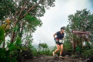 BIB: 
                            <button type="button" onclick="openModal(24890338)" class="btn btn-primary btn-sm float-right btn-popup" data-toggle="modal" data-target=".modal-high-quality">
                        <i class="fas fa-shopping-cart"></i> Add to Cart
                    </button>
                                            <button type="button" onclick="isThisMe(24890338, true)" class="btn btn-success btn-sm float-right btn-popup btn-isme hidden" data-toggle="tooltip" data-placement="bottom" title="นี่คือรูปของคุณใช่ไหม คลิกที่นี่เพื่อเอาเข้าอัลบั้ม">
                        <i class="fas fa-plus"></i> Add to album
                    </button>
                    <button type="button" onclick="isThisMe(24890338, false)" class="btn btn-warning btn-sm float-right btn-popup btn-isnotme hidden">
                        <i class="fas fa-ban"></i> Remove from album
                    </button>