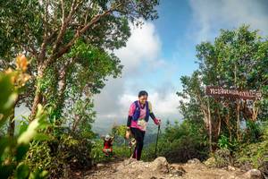 BIB: 
                            <button type="button" onclick="openModal(24891168)" class="btn btn-primary btn-sm float-right btn-popup" data-toggle="modal" data-target=".modal-high-quality">
                        <i class="fas fa-shopping-cart"></i> Add to Cart
                    </button>
                                            <button type="button" onclick="isThisMe(24891168, true)" class="btn btn-success btn-sm float-right btn-popup btn-isme hidden" data-toggle="tooltip" data-placement="bottom" title="นี่คือรูปของคุณใช่ไหม คลิกที่นี่เพื่อเอาเข้าอัลบั้ม">
                        <i class="fas fa-plus"></i> Add to album
                    </button>
                    <button type="button" onclick="isThisMe(24891168, false)" class="btn btn-warning btn-sm float-right btn-popup btn-isnotme hidden">
                        <i class="fas fa-ban"></i> Remove from album
                    </button>