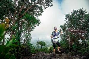 BIB: 
                            <button type="button" onclick="openModal(24890680)" class="btn btn-primary btn-sm float-right btn-popup" data-toggle="modal" data-target=".modal-high-quality">
                        <i class="fas fa-shopping-cart"></i> Add to Cart
                    </button>
                                            <button type="button" onclick="isThisMe(24890680, true)" class="btn btn-success btn-sm float-right btn-popup btn-isme hidden" data-toggle="tooltip" data-placement="bottom" title="นี่คือรูปของคุณใช่ไหม คลิกที่นี่เพื่อเอาเข้าอัลบั้ม">
                        <i class="fas fa-plus"></i> Add to album
                    </button>
                    <button type="button" onclick="isThisMe(24890680, false)" class="btn btn-warning btn-sm float-right btn-popup btn-isnotme hidden">
                        <i class="fas fa-ban"></i> Remove from album
                    </button>