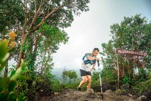 BIB: 
                            <button type="button" onclick="openModal(24890740)" class="btn btn-primary btn-sm float-right btn-popup" data-toggle="modal" data-target=".modal-high-quality">
                        <i class="fas fa-shopping-cart"></i> Add to Cart
                    </button>
                                            <button type="button" onclick="isThisMe(24890740, true)" class="btn btn-success btn-sm float-right btn-popup btn-isme hidden" data-toggle="tooltip" data-placement="bottom" title="นี่คือรูปของคุณใช่ไหม คลิกที่นี่เพื่อเอาเข้าอัลบั้ม">
                        <i class="fas fa-plus"></i> Add to album
                    </button>
                    <button type="button" onclick="isThisMe(24890740, false)" class="btn btn-warning btn-sm float-right btn-popup btn-isnotme hidden">
                        <i class="fas fa-ban"></i> Remove from album
                    </button>