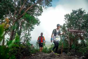 BIB: 220
                            <button type="button" onclick="openModal(24890485)" class="btn btn-primary btn-sm float-right btn-popup" data-toggle="modal" data-target=".modal-high-quality">
                        <i class="fas fa-shopping-cart"></i> Add to Cart
                    </button>
                                            <button type="button" onclick="isThisMe(24890485, true)" class="btn btn-success btn-sm float-right btn-popup btn-isme hidden" data-toggle="tooltip" data-placement="bottom" title="นี่คือรูปของคุณใช่ไหม คลิกที่นี่เพื่อเอาเข้าอัลบั้ม">
                        <i class="fas fa-plus"></i> Add to album
                    </button>
                    <button type="button" onclick="isThisMe(24890485, false)" class="btn btn-warning btn-sm float-right btn-popup btn-isnotme hidden">
                        <i class="fas fa-ban"></i> Remove from album
                    </button>