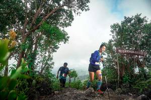 BIB: 
                            <button type="button" onclick="openModal(24890695)" class="btn btn-primary btn-sm float-right btn-popup" data-toggle="modal" data-target=".modal-high-quality">
                        <i class="fas fa-shopping-cart"></i> Add to Cart
                    </button>
                                            <button type="button" onclick="isThisMe(24890695, true)" class="btn btn-success btn-sm float-right btn-popup btn-isme hidden" data-toggle="tooltip" data-placement="bottom" title="นี่คือรูปของคุณใช่ไหม คลิกที่นี่เพื่อเอาเข้าอัลบั้ม">
                        <i class="fas fa-plus"></i> Add to album
                    </button>
                    <button type="button" onclick="isThisMe(24890695, false)" class="btn btn-warning btn-sm float-right btn-popup btn-isnotme hidden">
                        <i class="fas fa-ban"></i> Remove from album
                    </button>