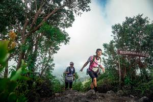 BIB: 
                            <button type="button" onclick="openModal(24890675)" class="btn btn-primary btn-sm float-right btn-popup" data-toggle="modal" data-target=".modal-high-quality">
                        <i class="fas fa-shopping-cart"></i> Add to Cart
                    </button>
                                            <button type="button" onclick="isThisMe(24890675, true)" class="btn btn-success btn-sm float-right btn-popup btn-isme hidden" data-toggle="tooltip" data-placement="bottom" title="นี่คือรูปของคุณใช่ไหม คลิกที่นี่เพื่อเอาเข้าอัลบั้ม">
                        <i class="fas fa-plus"></i> Add to album
                    </button>
                    <button type="button" onclick="isThisMe(24890675, false)" class="btn btn-warning btn-sm float-right btn-popup btn-isnotme hidden">
                        <i class="fas fa-ban"></i> Remove from album
                    </button>