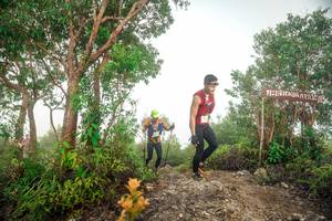 BIB: 
                            <button type="button" onclick="openModal(24889699)" class="btn btn-primary btn-sm float-right btn-popup" data-toggle="modal" data-target=".modal-high-quality">
                        <i class="fas fa-shopping-cart"></i> Add to Cart
                    </button>
                                            <button type="button" onclick="isThisMe(24889699, true)" class="btn btn-success btn-sm float-right btn-popup btn-isme hidden" data-toggle="tooltip" data-placement="bottom" title="นี่คือรูปของคุณใช่ไหม คลิกที่นี่เพื่อเอาเข้าอัลบั้ม">
                        <i class="fas fa-plus"></i> Add to album
                    </button>
                    <button type="button" onclick="isThisMe(24889699, false)" class="btn btn-warning btn-sm float-right btn-popup btn-isnotme hidden">
                        <i class="fas fa-ban"></i> Remove from album
                    </button>