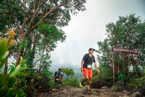 BIB: 
                            <button type="button" onclick="openModal(24890914)" class="btn btn-primary btn-sm float-right btn-popup" data-toggle="modal" data-target=".modal-high-quality">
                        <i class="fas fa-shopping-cart"></i> Add to Cart
                    </button>
                                            <button type="button" onclick="isThisMe(24890914, true)" class="btn btn-success btn-sm float-right btn-popup btn-isme hidden" data-toggle="tooltip" data-placement="bottom" title="นี่คือรูปของคุณใช่ไหม คลิกที่นี่เพื่อเอาเข้าอัลบั้ม">
                        <i class="fas fa-plus"></i> Add to album
                    </button>
                    <button type="button" onclick="isThisMe(24890914, false)" class="btn btn-warning btn-sm float-right btn-popup btn-isnotme hidden">
                        <i class="fas fa-ban"></i> Remove from album
                    </button>