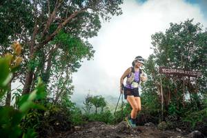 BIB: 
                            <button type="button" onclick="openModal(24890515)" class="btn btn-primary btn-sm float-right btn-popup" data-toggle="modal" data-target=".modal-high-quality">
                        <i class="fas fa-shopping-cart"></i> Add to Cart
                    </button>
                                            <button type="button" onclick="isThisMe(24890515, true)" class="btn btn-success btn-sm float-right btn-popup btn-isme hidden" data-toggle="tooltip" data-placement="bottom" title="นี่คือรูปของคุณใช่ไหม คลิกที่นี่เพื่อเอาเข้าอัลบั้ม">
                        <i class="fas fa-plus"></i> Add to album
                    </button>
                    <button type="button" onclick="isThisMe(24890515, false)" class="btn btn-warning btn-sm float-right btn-popup btn-isnotme hidden">
                        <i class="fas fa-ban"></i> Remove from album
                    </button>