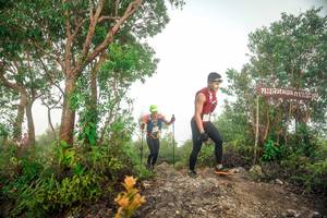 BIB: 
                            <button type="button" onclick="openModal(24889701)" class="btn btn-primary btn-sm float-right btn-popup" data-toggle="modal" data-target=".modal-high-quality">
                        <i class="fas fa-shopping-cart"></i> Add to Cart
                    </button>
                                            <button type="button" onclick="isThisMe(24889701, true)" class="btn btn-success btn-sm float-right btn-popup btn-isme hidden" data-toggle="tooltip" data-placement="bottom" title="นี่คือรูปของคุณใช่ไหม คลิกที่นี่เพื่อเอาเข้าอัลบั้ม">
                        <i class="fas fa-plus"></i> Add to album
                    </button>
                    <button type="button" onclick="isThisMe(24889701, false)" class="btn btn-warning btn-sm float-right btn-popup btn-isnotme hidden">
                        <i class="fas fa-ban"></i> Remove from album
                    </button>