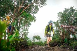 BIB: 
                            <button type="button" onclick="openModal(24889973)" class="btn btn-primary btn-sm float-right btn-popup" data-toggle="modal" data-target=".modal-high-quality">
                        <i class="fas fa-shopping-cart"></i> Add to Cart
                    </button>
                                            <button type="button" onclick="isThisMe(24889973, true)" class="btn btn-success btn-sm float-right btn-popup btn-isme hidden" data-toggle="tooltip" data-placement="bottom" title="นี่คือรูปของคุณใช่ไหม คลิกที่นี่เพื่อเอาเข้าอัลบั้ม">
                        <i class="fas fa-plus"></i> Add to album
                    </button>
                    <button type="button" onclick="isThisMe(24889973, false)" class="btn btn-warning btn-sm float-right btn-popup btn-isnotme hidden">
                        <i class="fas fa-ban"></i> Remove from album
                    </button>