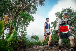 BIB: 
                            <button type="button" onclick="openModal(24890381)" class="btn btn-primary btn-sm float-right btn-popup" data-toggle="modal" data-target=".modal-high-quality">
                        <i class="fas fa-shopping-cart"></i> Add to Cart
                    </button>
                                            <button type="button" onclick="isThisMe(24890381, true)" class="btn btn-success btn-sm float-right btn-popup btn-isme hidden" data-toggle="tooltip" data-placement="bottom" title="นี่คือรูปของคุณใช่ไหม คลิกที่นี่เพื่อเอาเข้าอัลบั้ม">
                        <i class="fas fa-plus"></i> Add to album
                    </button>
                    <button type="button" onclick="isThisMe(24890381, false)" class="btn btn-warning btn-sm float-right btn-popup btn-isnotme hidden">
                        <i class="fas fa-ban"></i> Remove from album
                    </button>