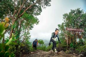 BIB: 
                            <button type="button" onclick="openModal(24890733)" class="btn btn-primary btn-sm float-right btn-popup" data-toggle="modal" data-target=".modal-high-quality">
                        <i class="fas fa-shopping-cart"></i> Add to Cart
                    </button>
                                            <button type="button" onclick="isThisMe(24890733, true)" class="btn btn-success btn-sm float-right btn-popup btn-isme hidden" data-toggle="tooltip" data-placement="bottom" title="นี่คือรูปของคุณใช่ไหม คลิกที่นี่เพื่อเอาเข้าอัลบั้ม">
                        <i class="fas fa-plus"></i> Add to album
                    </button>
                    <button type="button" onclick="isThisMe(24890733, false)" class="btn btn-warning btn-sm float-right btn-popup btn-isnotme hidden">
                        <i class="fas fa-ban"></i> Remove from album
                    </button>