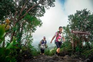 BIB: 
                            <button type="button" onclick="openModal(24890677)" class="btn btn-primary btn-sm float-right btn-popup" data-toggle="modal" data-target=".modal-high-quality">
                        <i class="fas fa-shopping-cart"></i> Add to Cart
                    </button>
                                            <button type="button" onclick="isThisMe(24890677, true)" class="btn btn-success btn-sm float-right btn-popup btn-isme hidden" data-toggle="tooltip" data-placement="bottom" title="นี่คือรูปของคุณใช่ไหม คลิกที่นี่เพื่อเอาเข้าอัลบั้ม">
                        <i class="fas fa-plus"></i> Add to album
                    </button>
                    <button type="button" onclick="isThisMe(24890677, false)" class="btn btn-warning btn-sm float-right btn-popup btn-isnotme hidden">
                        <i class="fas fa-ban"></i> Remove from album
                    </button>