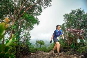 BIB: 
                            <button type="button" onclick="openModal(24890727)" class="btn btn-primary btn-sm float-right btn-popup" data-toggle="modal" data-target=".modal-high-quality">
                        <i class="fas fa-shopping-cart"></i> Add to Cart
                    </button>
                                            <button type="button" onclick="isThisMe(24890727, true)" class="btn btn-success btn-sm float-right btn-popup btn-isme hidden" data-toggle="tooltip" data-placement="bottom" title="นี่คือรูปของคุณใช่ไหม คลิกที่นี่เพื่อเอาเข้าอัลบั้ม">
                        <i class="fas fa-plus"></i> Add to album
                    </button>
                    <button type="button" onclick="isThisMe(24890727, false)" class="btn btn-warning btn-sm float-right btn-popup btn-isnotme hidden">
                        <i class="fas fa-ban"></i> Remove from album
                    </button>