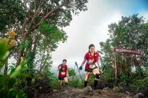 BIB: 
                            <button type="button" onclick="openModal(24890716)" class="btn btn-primary btn-sm float-right btn-popup" data-toggle="modal" data-target=".modal-high-quality">
                        <i class="fas fa-shopping-cart"></i> Add to Cart
                    </button>
                                            <button type="button" onclick="isThisMe(24890716, true)" class="btn btn-success btn-sm float-right btn-popup btn-isme hidden" data-toggle="tooltip" data-placement="bottom" title="นี่คือรูปของคุณใช่ไหม คลิกที่นี่เพื่อเอาเข้าอัลบั้ม">
                        <i class="fas fa-plus"></i> Add to album
                    </button>
                    <button type="button" onclick="isThisMe(24890716, false)" class="btn btn-warning btn-sm float-right btn-popup btn-isnotme hidden">
                        <i class="fas fa-ban"></i> Remove from album
                    </button>