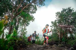 BIB: 
                            <button type="button" onclick="openModal(24890477)" class="btn btn-primary btn-sm float-right btn-popup" data-toggle="modal" data-target=".modal-high-quality">
                        <i class="fas fa-shopping-cart"></i> Add to Cart
                    </button>
                                            <button type="button" onclick="isThisMe(24890477, true)" class="btn btn-success btn-sm float-right btn-popup btn-isme hidden" data-toggle="tooltip" data-placement="bottom" title="นี่คือรูปของคุณใช่ไหม คลิกที่นี่เพื่อเอาเข้าอัลบั้ม">
                        <i class="fas fa-plus"></i> Add to album
                    </button>
                    <button type="button" onclick="isThisMe(24890477, false)" class="btn btn-warning btn-sm float-right btn-popup btn-isnotme hidden">
                        <i class="fas fa-ban"></i> Remove from album
                    </button>