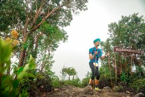 BIB: 
                            <button type="button" onclick="openModal(24889888)" class="btn btn-primary btn-sm float-right btn-popup" data-toggle="modal" data-target=".modal-high-quality">
                        <i class="fas fa-shopping-cart"></i> Add to Cart
                    </button>
                                            <button type="button" onclick="isThisMe(24889888, true)" class="btn btn-success btn-sm float-right btn-popup btn-isme hidden" data-toggle="tooltip" data-placement="bottom" title="นี่คือรูปของคุณใช่ไหม คลิกที่นี่เพื่อเอาเข้าอัลบั้ม">
                        <i class="fas fa-plus"></i> Add to album
                    </button>
                    <button type="button" onclick="isThisMe(24889888, false)" class="btn btn-warning btn-sm float-right btn-popup btn-isnotme hidden">
                        <i class="fas fa-ban"></i> Remove from album
                    </button>