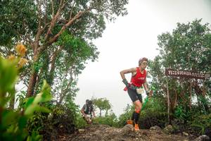 BIB: 
                            <button type="button" onclick="openModal(24889853)" class="btn btn-primary btn-sm float-right btn-popup" data-toggle="modal" data-target=".modal-high-quality">
                        <i class="fas fa-shopping-cart"></i> Add to Cart
                    </button>
                                            <button type="button" onclick="isThisMe(24889853, true)" class="btn btn-success btn-sm float-right btn-popup btn-isme hidden" data-toggle="tooltip" data-placement="bottom" title="นี่คือรูปของคุณใช่ไหม คลิกที่นี่เพื่อเอาเข้าอัลบั้ม">
                        <i class="fas fa-plus"></i> Add to album
                    </button>
                    <button type="button" onclick="isThisMe(24889853, false)" class="btn btn-warning btn-sm float-right btn-popup btn-isnotme hidden">
                        <i class="fas fa-ban"></i> Remove from album
                    </button>