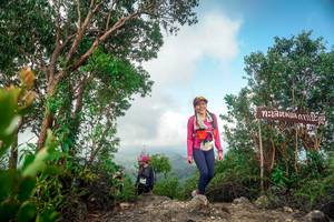 BIB: 
                            <button type="button" onclick="openModal(24891230)" class="btn btn-primary btn-sm float-right btn-popup" data-toggle="modal" data-target=".modal-high-quality">
                        <i class="fas fa-shopping-cart"></i> Add to Cart
                    </button>
                                            <button type="button" onclick="isThisMe(24891230, true)" class="btn btn-success btn-sm float-right btn-popup btn-isme hidden" data-toggle="tooltip" data-placement="bottom" title="นี่คือรูปของคุณใช่ไหม คลิกที่นี่เพื่อเอาเข้าอัลบั้ม">
                        <i class="fas fa-plus"></i> Add to album
                    </button>
                    <button type="button" onclick="isThisMe(24891230, false)" class="btn btn-warning btn-sm float-right btn-popup btn-isnotme hidden">
                        <i class="fas fa-ban"></i> Remove from album
                    </button>