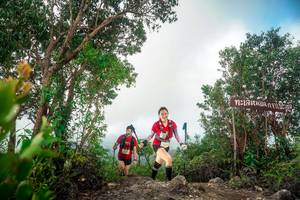 BIB: 
                            <button type="button" onclick="openModal(24890712)" class="btn btn-primary btn-sm float-right btn-popup" data-toggle="modal" data-target=".modal-high-quality">
                        <i class="fas fa-shopping-cart"></i> Add to Cart
                    </button>
                                            <button type="button" onclick="isThisMe(24890712, true)" class="btn btn-success btn-sm float-right btn-popup btn-isme hidden" data-toggle="tooltip" data-placement="bottom" title="นี่คือรูปของคุณใช่ไหม คลิกที่นี่เพื่อเอาเข้าอัลบั้ม">
                        <i class="fas fa-plus"></i> Add to album
                    </button>
                    <button type="button" onclick="isThisMe(24890712, false)" class="btn btn-warning btn-sm float-right btn-popup btn-isnotme hidden">
                        <i class="fas fa-ban"></i> Remove from album
                    </button>