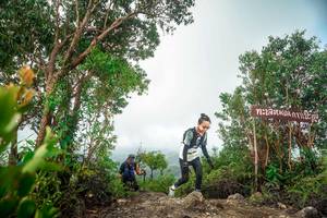 BIB: 
                            <button type="button" onclick="openModal(24890729)" class="btn btn-primary btn-sm float-right btn-popup" data-toggle="modal" data-target=".modal-high-quality">
                        <i class="fas fa-shopping-cart"></i> Add to Cart
                    </button>
                                            <button type="button" onclick="isThisMe(24890729, true)" class="btn btn-success btn-sm float-right btn-popup btn-isme hidden" data-toggle="tooltip" data-placement="bottom" title="นี่คือรูปของคุณใช่ไหม คลิกที่นี่เพื่อเอาเข้าอัลบั้ม">
                        <i class="fas fa-plus"></i> Add to album
                    </button>
                    <button type="button" onclick="isThisMe(24890729, false)" class="btn btn-warning btn-sm float-right btn-popup btn-isnotme hidden">
                        <i class="fas fa-ban"></i> Remove from album
                    </button>