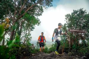 BIB: 210
                            <button type="button" onclick="openModal(24890486)" class="btn btn-primary btn-sm float-right btn-popup" data-toggle="modal" data-target=".modal-high-quality">
                        <i class="fas fa-shopping-cart"></i> Add to Cart
                    </button>
                                            <button type="button" onclick="isThisMe(24890486, true)" class="btn btn-success btn-sm float-right btn-popup btn-isme hidden" data-toggle="tooltip" data-placement="bottom" title="นี่คือรูปของคุณใช่ไหม คลิกที่นี่เพื่อเอาเข้าอัลบั้ม">
                        <i class="fas fa-plus"></i> Add to album
                    </button>
                    <button type="button" onclick="isThisMe(24890486, false)" class="btn btn-warning btn-sm float-right btn-popup btn-isnotme hidden">
                        <i class="fas fa-ban"></i> Remove from album
                    </button>