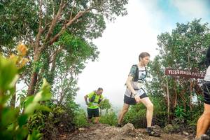 BIB: 
                            <button type="button" onclick="openModal(24890261)" class="btn btn-primary btn-sm float-right btn-popup" data-toggle="modal" data-target=".modal-high-quality">
                        <i class="fas fa-shopping-cart"></i> Add to Cart
                    </button>
                                            <button type="button" onclick="isThisMe(24890261, true)" class="btn btn-success btn-sm float-right btn-popup btn-isme hidden" data-toggle="tooltip" data-placement="bottom" title="นี่คือรูปของคุณใช่ไหม คลิกที่นี่เพื่อเอาเข้าอัลบั้ม">
                        <i class="fas fa-plus"></i> Add to album
                    </button>
                    <button type="button" onclick="isThisMe(24890261, false)" class="btn btn-warning btn-sm float-right btn-popup btn-isnotme hidden">
                        <i class="fas fa-ban"></i> Remove from album
                    </button>