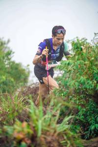 BIB: 
                            <button type="button" onclick="openModal(24726667)" class="btn btn-primary btn-sm float-right btn-popup" data-toggle="modal" data-target=".modal-high-quality">
                        <i class="fas fa-shopping-cart"></i> Add to Cart
                    </button>
                                            <button type="button" onclick="isThisMe(24726667, true)" class="btn btn-success btn-sm float-right btn-popup btn-isme hidden" data-toggle="tooltip" data-placement="bottom" title="นี่คือรูปของคุณใช่ไหม คลิกที่นี่เพื่อเอาเข้าอัลบั้ม">
                        <i class="fas fa-plus"></i> Add to album
                    </button>
                    <button type="button" onclick="isThisMe(24726667, false)" class="btn btn-warning btn-sm float-right btn-popup btn-isnotme hidden">
                        <i class="fas fa-ban"></i> Remove from album
                    </button>