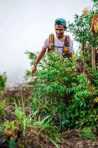 BIB: 
                            <button type="button" onclick="openModal(24726521)" class="btn btn-primary btn-sm float-right btn-popup" data-toggle="modal" data-target=".modal-high-quality">
                        <i class="fas fa-shopping-cart"></i> Add to Cart
                    </button>
                                            <button type="button" onclick="isThisMe(24726521, true)" class="btn btn-success btn-sm float-right btn-popup btn-isme hidden" data-toggle="tooltip" data-placement="bottom" title="นี่คือรูปของคุณใช่ไหม คลิกที่นี่เพื่อเอาเข้าอัลบั้ม">
                        <i class="fas fa-plus"></i> Add to album
                    </button>
                    <button type="button" onclick="isThisMe(24726521, false)" class="btn btn-warning btn-sm float-right btn-popup btn-isnotme hidden">
                        <i class="fas fa-ban"></i> Remove from album
                    </button>