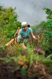 BIB: 
                            <button type="button" onclick="openModal(24730224)" class="btn btn-primary btn-sm float-right btn-popup" data-toggle="modal" data-target=".modal-high-quality">
                        <i class="fas fa-shopping-cart"></i> Add to Cart
                    </button>
                                            <button type="button" onclick="isThisMe(24730224, true)" class="btn btn-success btn-sm float-right btn-popup btn-isme hidden" data-toggle="tooltip" data-placement="bottom" title="นี่คือรูปของคุณใช่ไหม คลิกที่นี่เพื่อเอาเข้าอัลบั้ม">
                        <i class="fas fa-plus"></i> Add to album
                    </button>
                    <button type="button" onclick="isThisMe(24730224, false)" class="btn btn-warning btn-sm float-right btn-popup btn-isnotme hidden">
                        <i class="fas fa-ban"></i> Remove from album
                    </button>