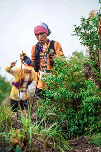 BIB: 
                            <button type="button" onclick="openModal(24726644)" class="btn btn-primary btn-sm float-right btn-popup" data-toggle="modal" data-target=".modal-high-quality">
                        <i class="fas fa-shopping-cart"></i> Add to Cart
                    </button>
                                            <button type="button" onclick="isThisMe(24726644, true)" class="btn btn-success btn-sm float-right btn-popup btn-isme hidden" data-toggle="tooltip" data-placement="bottom" title="นี่คือรูปของคุณใช่ไหม คลิกที่นี่เพื่อเอาเข้าอัลบั้ม">
                        <i class="fas fa-plus"></i> Add to album
                    </button>
                    <button type="button" onclick="isThisMe(24726644, false)" class="btn btn-warning btn-sm float-right btn-popup btn-isnotme hidden">
                        <i class="fas fa-ban"></i> Remove from album
                    </button>