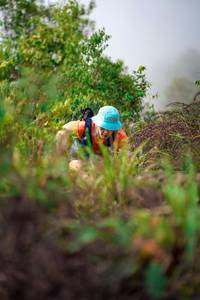 BIB: 
                            <button type="button" onclick="openModal(24727092)" class="btn btn-primary btn-sm float-right btn-popup" data-toggle="modal" data-target=".modal-high-quality">
                        <i class="fas fa-shopping-cart"></i> Add to Cart
                    </button>
                                            <button type="button" onclick="isThisMe(24727092, true)" class="btn btn-success btn-sm float-right btn-popup btn-isme hidden" data-toggle="tooltip" data-placement="bottom" title="นี่คือรูปของคุณใช่ไหม คลิกที่นี่เพื่อเอาเข้าอัลบั้ม">
                        <i class="fas fa-plus"></i> Add to album
                    </button>
                    <button type="button" onclick="isThisMe(24727092, false)" class="btn btn-warning btn-sm float-right btn-popup btn-isnotme hidden">
                        <i class="fas fa-ban"></i> Remove from album
                    </button>