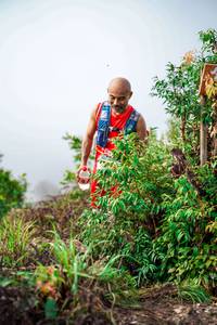 BIB: 
                            <button type="button" onclick="openModal(24725649)" class="btn btn-primary btn-sm float-right btn-popup" data-toggle="modal" data-target=".modal-high-quality">
                        <i class="fas fa-shopping-cart"></i> Add to Cart
                    </button>
                                            <button type="button" onclick="isThisMe(24725649, true)" class="btn btn-success btn-sm float-right btn-popup btn-isme hidden" data-toggle="tooltip" data-placement="bottom" title="นี่คือรูปของคุณใช่ไหม คลิกที่นี่เพื่อเอาเข้าอัลบั้ม">
                        <i class="fas fa-plus"></i> Add to album
                    </button>
                    <button type="button" onclick="isThisMe(24725649, false)" class="btn btn-warning btn-sm float-right btn-popup btn-isnotme hidden">
                        <i class="fas fa-ban"></i> Remove from album
                    </button>