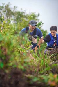 BIB: 
                            <button type="button" onclick="openModal(24726085)" class="btn btn-primary btn-sm float-right btn-popup" data-toggle="modal" data-target=".modal-high-quality">
                        <i class="fas fa-shopping-cart"></i> Add to Cart
                    </button>
                                            <button type="button" onclick="isThisMe(24726085, true)" class="btn btn-success btn-sm float-right btn-popup btn-isme hidden" data-toggle="tooltip" data-placement="bottom" title="นี่คือรูปของคุณใช่ไหม คลิกที่นี่เพื่อเอาเข้าอัลบั้ม">
                        <i class="fas fa-plus"></i> Add to album
                    </button>
                    <button type="button" onclick="isThisMe(24726085, false)" class="btn btn-warning btn-sm float-right btn-popup btn-isnotme hidden">
                        <i class="fas fa-ban"></i> Remove from album
                    </button>