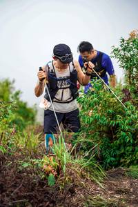 BIB: 
                            <button type="button" onclick="openModal(24726309)" class="btn btn-primary btn-sm float-right btn-popup" data-toggle="modal" data-target=".modal-high-quality">
                        <i class="fas fa-shopping-cart"></i> Add to Cart
                    </button>
                                            <button type="button" onclick="isThisMe(24726309, true)" class="btn btn-success btn-sm float-right btn-popup btn-isme hidden" data-toggle="tooltip" data-placement="bottom" title="นี่คือรูปของคุณใช่ไหม คลิกที่นี่เพื่อเอาเข้าอัลบั้ม">
                        <i class="fas fa-plus"></i> Add to album
                    </button>
                    <button type="button" onclick="isThisMe(24726309, false)" class="btn btn-warning btn-sm float-right btn-popup btn-isnotme hidden">
                        <i class="fas fa-ban"></i> Remove from album
                    </button>