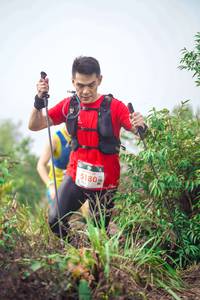 BIB: 15180
                            <button type="button" onclick="openModal(24726729)" class="btn btn-primary btn-sm float-right btn-popup" data-toggle="modal" data-target=".modal-high-quality">
                        <i class="fas fa-shopping-cart"></i> Add to Cart
                    </button>
                                            <button type="button" onclick="isThisMe(24726729, true)" class="btn btn-success btn-sm float-right btn-popup btn-isme hidden" data-toggle="tooltip" data-placement="bottom" title="นี่คือรูปของคุณใช่ไหม คลิกที่นี่เพื่อเอาเข้าอัลบั้ม">
                        <i class="fas fa-plus"></i> Add to album
                    </button>
                    <button type="button" onclick="isThisMe(24726729, false)" class="btn btn-warning btn-sm float-right btn-popup btn-isnotme hidden">
                        <i class="fas fa-ban"></i> Remove from album
                    </button>