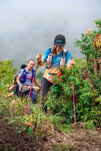 BIB: 
                            <button type="button" onclick="openModal(24729865)" class="btn btn-primary btn-sm float-right btn-popup" data-toggle="modal" data-target=".modal-high-quality">
                        <i class="fas fa-shopping-cart"></i> Add to Cart
                    </button>
                                            <button type="button" onclick="isThisMe(24729865, true)" class="btn btn-success btn-sm float-right btn-popup btn-isme hidden" data-toggle="tooltip" data-placement="bottom" title="นี่คือรูปของคุณใช่ไหม คลิกที่นี่เพื่อเอาเข้าอัลบั้ม">
                        <i class="fas fa-plus"></i> Add to album
                    </button>
                    <button type="button" onclick="isThisMe(24729865, false)" class="btn btn-warning btn-sm float-right btn-popup btn-isnotme hidden">
                        <i class="fas fa-ban"></i> Remove from album
                    </button>