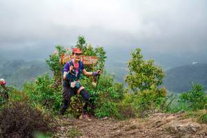 BIB: 
                            <button type="button" onclick="openModal(24733011)" class="btn btn-primary btn-sm float-right btn-popup" data-toggle="modal" data-target=".modal-high-quality">
                        <i class="fas fa-shopping-cart"></i> Add to Cart
                    </button>
                                            <button type="button" onclick="isThisMe(24733011, true)" class="btn btn-success btn-sm float-right btn-popup btn-isme hidden" data-toggle="tooltip" data-placement="bottom" title="นี่คือรูปของคุณใช่ไหม คลิกที่นี่เพื่อเอาเข้าอัลบั้ม">
                        <i class="fas fa-plus"></i> Add to album
                    </button>
                    <button type="button" onclick="isThisMe(24733011, false)" class="btn btn-warning btn-sm float-right btn-popup btn-isnotme hidden">
                        <i class="fas fa-ban"></i> Remove from album
                    </button>