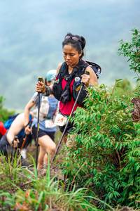 BIB: 
                            <button type="button" onclick="openModal(24731307)" class="btn btn-primary btn-sm float-right btn-popup" data-toggle="modal" data-target=".modal-high-quality">
                        <i class="fas fa-shopping-cart"></i> Add to Cart
                    </button>
                                            <button type="button" onclick="isThisMe(24731307, true)" class="btn btn-success btn-sm float-right btn-popup btn-isme hidden" data-toggle="tooltip" data-placement="bottom" title="นี่คือรูปของคุณใช่ไหม คลิกที่นี่เพื่อเอาเข้าอัลบั้ม">
                        <i class="fas fa-plus"></i> Add to album
                    </button>
                    <button type="button" onclick="isThisMe(24731307, false)" class="btn btn-warning btn-sm float-right btn-popup btn-isnotme hidden">
                        <i class="fas fa-ban"></i> Remove from album
                    </button>