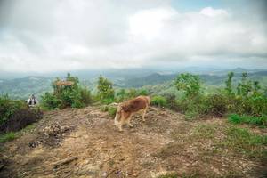 BIB: 
                            <button type="button" onclick="openModal(24733330)" class="btn btn-primary btn-sm float-right btn-popup" data-toggle="modal" data-target=".modal-high-quality">
                        <i class="fas fa-shopping-cart"></i> Add to Cart
                    </button>
                                            <button type="button" onclick="isThisMe(24733330, true)" class="btn btn-success btn-sm float-right btn-popup btn-isme hidden" data-toggle="tooltip" data-placement="bottom" title="นี่คือรูปของคุณใช่ไหม คลิกที่นี่เพื่อเอาเข้าอัลบั้ม">
                        <i class="fas fa-plus"></i> Add to album
                    </button>
                    <button type="button" onclick="isThisMe(24733330, false)" class="btn btn-warning btn-sm float-right btn-popup btn-isnotme hidden">
                        <i class="fas fa-ban"></i> Remove from album
                    </button>