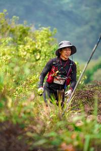 BIB: 
                            <button type="button" onclick="openModal(24731699)" class="btn btn-primary btn-sm float-right btn-popup" data-toggle="modal" data-target=".modal-high-quality">
                        <i class="fas fa-shopping-cart"></i> Add to Cart
                    </button>
                                            <button type="button" onclick="isThisMe(24731699, true)" class="btn btn-success btn-sm float-right btn-popup btn-isme hidden" data-toggle="tooltip" data-placement="bottom" title="นี่คือรูปของคุณใช่ไหม คลิกที่นี่เพื่อเอาเข้าอัลบั้ม">
                        <i class="fas fa-plus"></i> Add to album
                    </button>
                    <button type="button" onclick="isThisMe(24731699, false)" class="btn btn-warning btn-sm float-right btn-popup btn-isnotme hidden">
                        <i class="fas fa-ban"></i> Remove from album
                    </button>