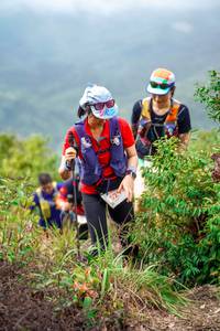 BIB: 
                            <button type="button" onclick="openModal(24731536)" class="btn btn-primary btn-sm float-right btn-popup" data-toggle="modal" data-target=".modal-high-quality">
                        <i class="fas fa-shopping-cart"></i> Add to Cart
                    </button>
                                            <button type="button" onclick="isThisMe(24731536, true)" class="btn btn-success btn-sm float-right btn-popup btn-isme hidden" data-toggle="tooltip" data-placement="bottom" title="นี่คือรูปของคุณใช่ไหม คลิกที่นี่เพื่อเอาเข้าอัลบั้ม">
                        <i class="fas fa-plus"></i> Add to album
                    </button>
                    <button type="button" onclick="isThisMe(24731536, false)" class="btn btn-warning btn-sm float-right btn-popup btn-isnotme hidden">
                        <i class="fas fa-ban"></i> Remove from album
                    </button>