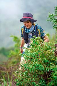 BIB: 
                            <button type="button" onclick="openModal(24728755)" class="btn btn-primary btn-sm float-right btn-popup" data-toggle="modal" data-target=".modal-high-quality">
                        <i class="fas fa-shopping-cart"></i> Add to Cart
                    </button>
                                            <button type="button" onclick="isThisMe(24728755, true)" class="btn btn-success btn-sm float-right btn-popup btn-isme hidden" data-toggle="tooltip" data-placement="bottom" title="นี่คือรูปของคุณใช่ไหม คลิกที่นี่เพื่อเอาเข้าอัลบั้ม">
                        <i class="fas fa-plus"></i> Add to album
                    </button>
                    <button type="button" onclick="isThisMe(24728755, false)" class="btn btn-warning btn-sm float-right btn-popup btn-isnotme hidden">
                        <i class="fas fa-ban"></i> Remove from album
                    </button>