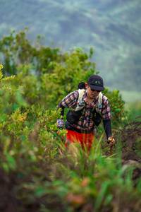 BIB: 
                            <button type="button" onclick="openModal(24732485)" class="btn btn-primary btn-sm float-right btn-popup" data-toggle="modal" data-target=".modal-high-quality">
                        <i class="fas fa-shopping-cart"></i> Add to Cart
                    </button>
                                            <button type="button" onclick="isThisMe(24732485, true)" class="btn btn-success btn-sm float-right btn-popup btn-isme hidden" data-toggle="tooltip" data-placement="bottom" title="นี่คือรูปของคุณใช่ไหม คลิกที่นี่เพื่อเอาเข้าอัลบั้ม">
                        <i class="fas fa-plus"></i> Add to album
                    </button>
                    <button type="button" onclick="isThisMe(24732485, false)" class="btn btn-warning btn-sm float-right btn-popup btn-isnotme hidden">
                        <i class="fas fa-ban"></i> Remove from album
                    </button>