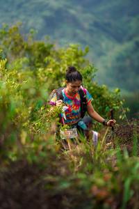 BIB: 
                            <button type="button" onclick="openModal(24732214)" class="btn btn-primary btn-sm float-right btn-popup" data-toggle="modal" data-target=".modal-high-quality">
                        <i class="fas fa-shopping-cart"></i> Add to Cart
                    </button>
                                            <button type="button" onclick="isThisMe(24732214, true)" class="btn btn-success btn-sm float-right btn-popup btn-isme hidden" data-toggle="tooltip" data-placement="bottom" title="นี่คือรูปของคุณใช่ไหม คลิกที่นี่เพื่อเอาเข้าอัลบั้ม">
                        <i class="fas fa-plus"></i> Add to album
                    </button>
                    <button type="button" onclick="isThisMe(24732214, false)" class="btn btn-warning btn-sm float-right btn-popup btn-isnotme hidden">
                        <i class="fas fa-ban"></i> Remove from album
                    </button>