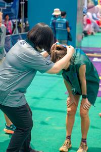 BIB: 
                            <button type="button" onclick="openModal(24713040)" class="btn btn-primary btn-sm float-right btn-popup" data-toggle="modal" data-target=".modal-high-quality">
                        <i class="fas fa-shopping-cart"></i> Add to Cart
                    </button>
                                            <button type="button" onclick="isThisMe(24713040, true)" class="btn btn-success btn-sm float-right btn-popup btn-isme hidden" data-toggle="tooltip" data-placement="bottom" title="นี่คือรูปของคุณใช่ไหม คลิกที่นี่เพื่อเอาเข้าอัลบั้ม">
                        <i class="fas fa-plus"></i> Add to album
                    </button>
                    <button type="button" onclick="isThisMe(24713040, false)" class="btn btn-warning btn-sm float-right btn-popup btn-isnotme hidden">
                        <i class="fas fa-ban"></i> Remove from album
                    </button>