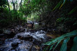 BIB: 
                            <button type="button" onclick="openModal(26526274)" class="btn btn-primary btn-sm float-right btn-popup" data-toggle="modal" data-target=".modal-high-quality">
                        <i class="fas fa-shopping-cart"></i> Add to Cart
                    </button>
                                            <button type="button" onclick="isThisMe(26526274, true)" class="btn btn-success btn-sm float-right btn-popup btn-isme hidden" data-toggle="tooltip" data-placement="bottom" title="นี่คือรูปของคุณใช่ไหม คลิกที่นี่เพื่อเอาเข้าอัลบั้ม">
                        <i class="fas fa-plus"></i> Add to album
                    </button>
                    <button type="button" onclick="isThisMe(26526274, false)" class="btn btn-warning btn-sm float-right btn-popup btn-isnotme hidden">
                        <i class="fas fa-ban"></i> Remove from album
                    </button>